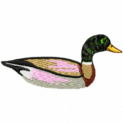 Ducks And Goose Embroidery Design 7